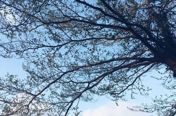 Imagen general del Hotel Altrove House - Hostel. Foto 7