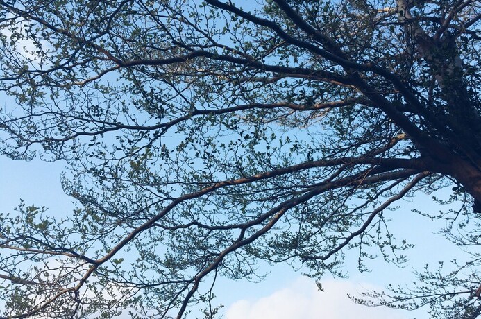 Imagen de los exteriores del Hotel Altrove House - Hostel. Foto 27