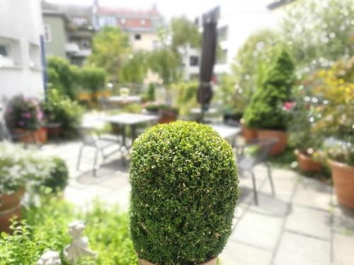 Imagen general del Hotel Altschwabing. Foto 3