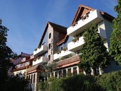Imagen general del Hotel Altstadt Palais Lippischer Hof. Foto 6