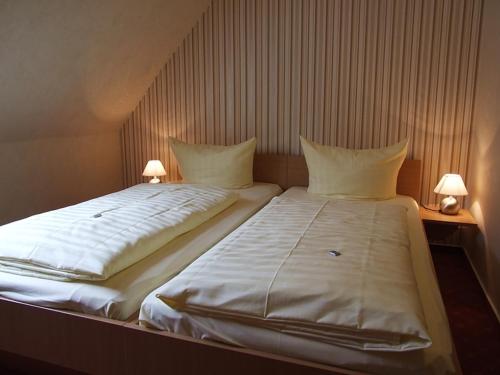 Imagen de la habitación del Hotel Altstadthotel Goldene Kugel. Foto 8