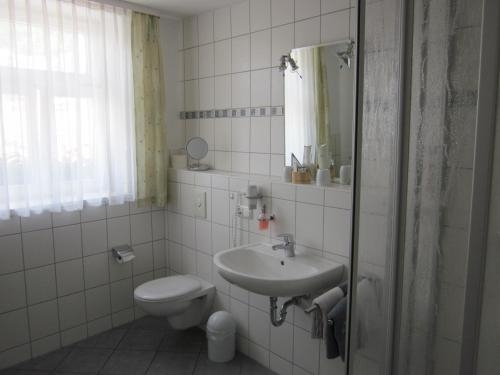 Imagen general del Hotel Altstadthotel Weisses Ross. Foto 5