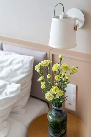 Imagen de la habitación del Hotel Altus Poznań Old Town. Foto 18