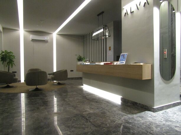 Imagen general del Hotel Alva Athens. Foto 12