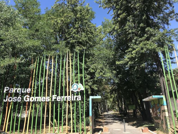 Imagen de los exteriores del Hotel Alvalade Palace. Foto 14