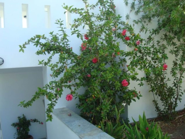 Imagen general del Hotel Alykes Studios. Foto 3