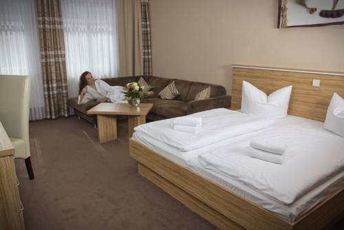Imagen de la habitación del Hotel Am Alten Strom. Foto 4