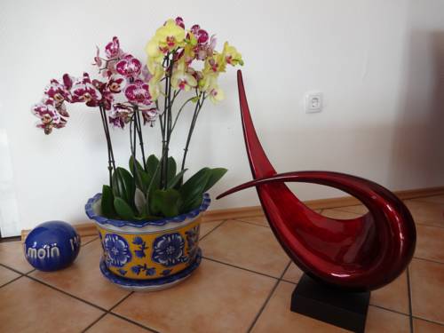 Imagen de la habitación del Hotel Am Deich. Foto 8