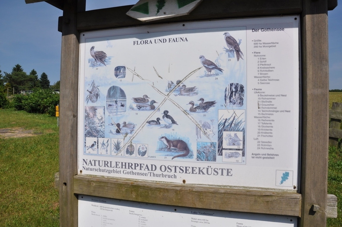 Imagen general del Hotel Am Gothensee. Foto 2