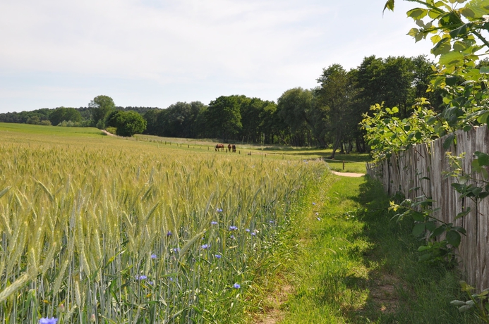 Imagen general del Hotel Am Gothensee. Foto 3