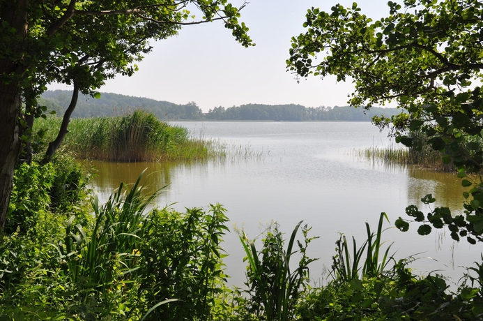 Imagen de los exteriores del Hotel Am Gothensee. Foto 17