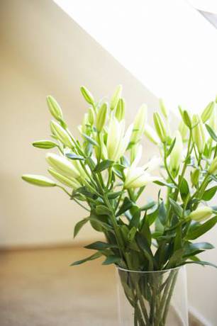 Imagen de la habitación del Hotel Am Helmwartsturm. Foto 7