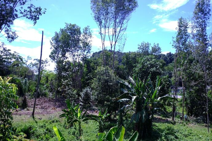 Imagen general del Hotel Am House. Foto 4