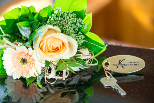 Imagen de la habitación del Hotel Am Kupferhammer. Foto 2