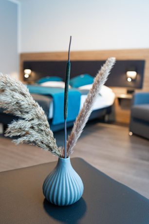 Imagen de la habitación del Hotel Am Park, Reichenbach. Foto 5