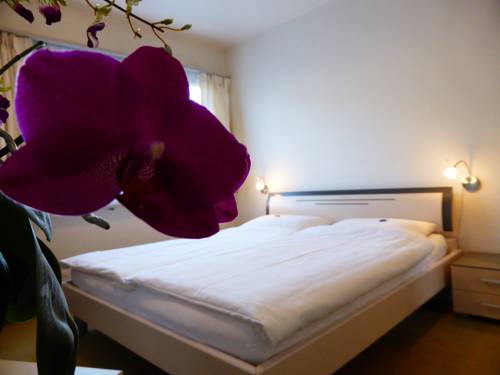 Imagen de la habitación del Hotel Am Schloss, Thun. Foto 9