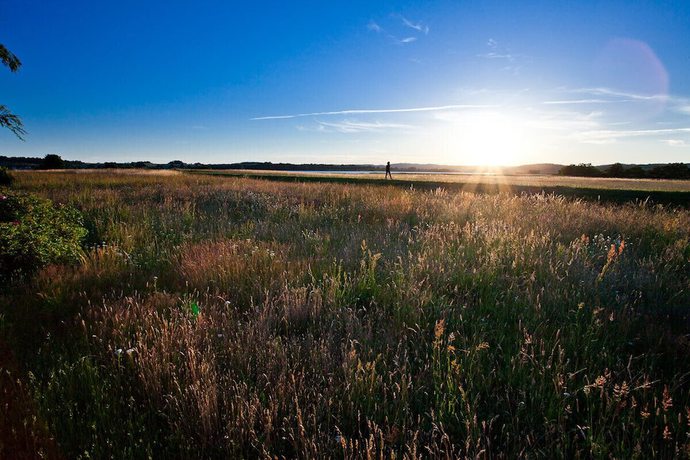 Imagen de los exteriores del Hotel Am See, Baabe. Foto 20