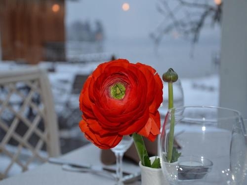 Imagen de la habitación del Hotel Am See, Feldafing. Foto 8