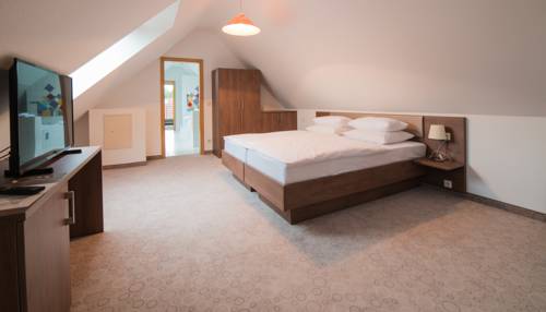 Imagen de la habitación del Hotel Am Wasen. Foto 11