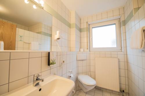 Imagen de la habitación del Hotel Am Wasen. Foto 16