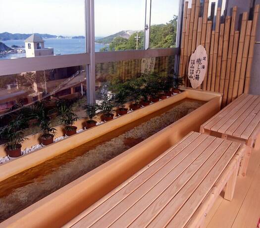 Imagen general del Hotel Ama No Shima. Foto 15