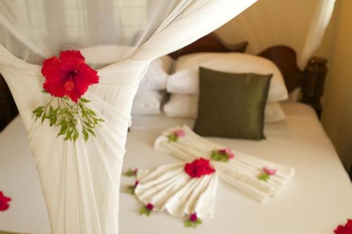 Imagen de la habitación del Hotel Amaan Beach Bungalows. Foto 6