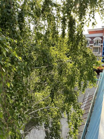 Imagen general del Hotel Amadina Garden. Foto 3