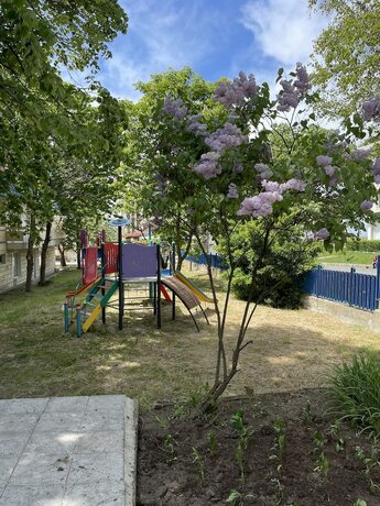 Imagen general del Hotel Amadina Garden. Foto 15