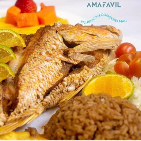 Imagen general del Hotel Amafavil. Foto 9