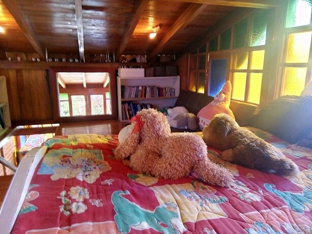 Imagen general del Hotel Amagua&ntilde;a Luxury Country House. Foto 3
