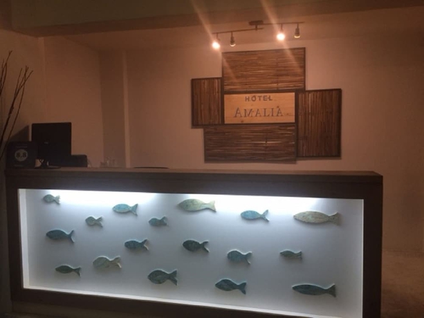 Imagen de los interiores del Hotel Amalia, Aloupi. Foto 18