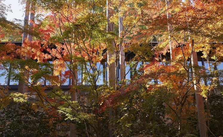 Imagen de la habitación del Hotel Aman Kyoto. Foto 18