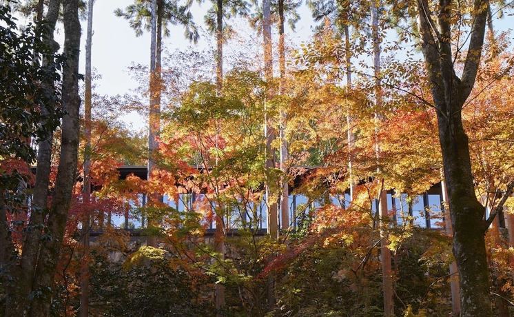 Imagen de la habitación del Hotel Aman Kyoto. Foto 19