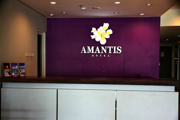 Imagen general del Hotel Amantis. Foto 10