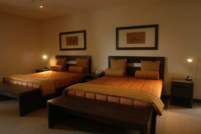 Imagen de la habitación del Hotel Amanzingwe Lodge Conference Centre and Spa. Foto 14