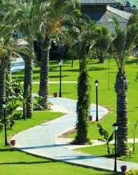 Imagen general del Hotel Amara Beach Resort. Foto 4