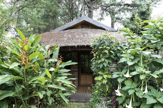 Imagen de la habitación del Hotel Amara Mountain Resort. Foto 10