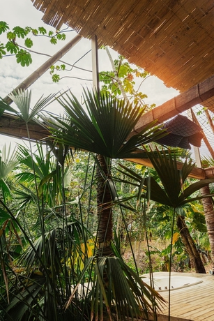 Imagen de la habitación del Hotel Amaranthus. Foto 2