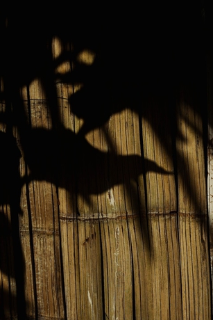 Imagen de la habitación del Hotel Amaranthus. Foto 16