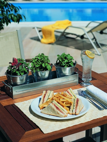 Imagen de la piscina del Hotel Amarilia. Foto 16