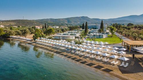 Imagen de la habitación del Hotel Amaronda Resort & Spa Eretria. Foto 9