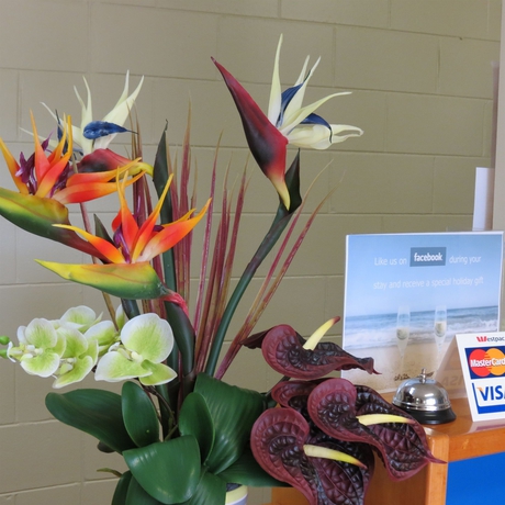 Imagen de los interiores del Hotel Amaroo At Trinity. Foto 15