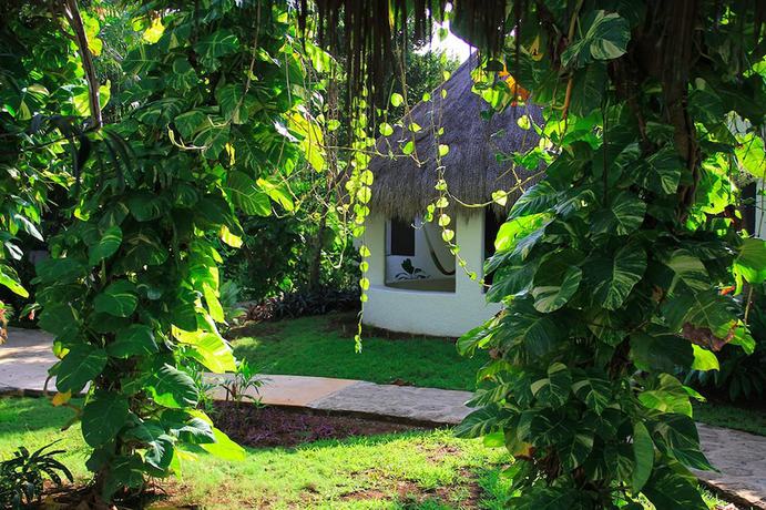 Imagen general del Hotel Amarte Maroma Eco Boutique Spa. Foto 15