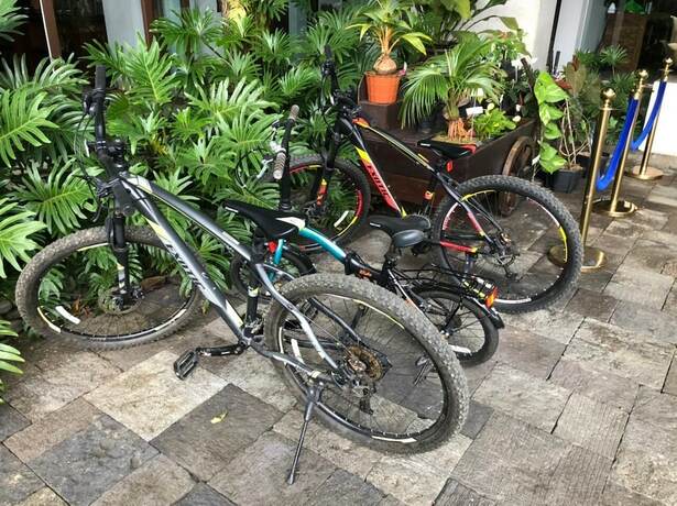 Imagen general del Hotel Amaryllis Boutique Resort. Foto 12