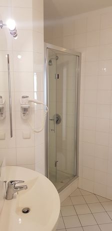 Imagen de la habitación del Hotel Amaryllis, Swarzedz. Foto 14