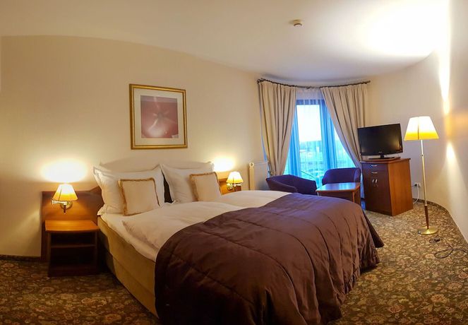 Imagen de la habitación del Hotel Amaryllis, Swarzedz. Foto 15