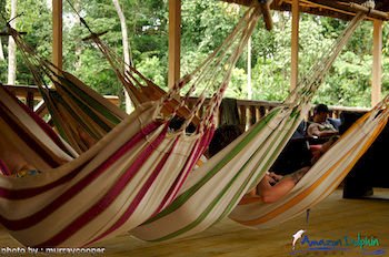 Imagen de los interiores del Hotel Amazon Dolphin Lodge. Foto 10