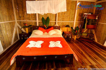 Imagen de la habitación del Hotel Amazon Dolphin Lodge. Foto 3