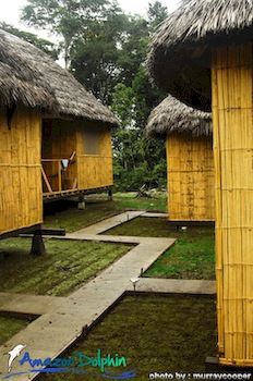 Imagen de los exteriores del Hotel Amazon Dolphin Lodge. Foto 6