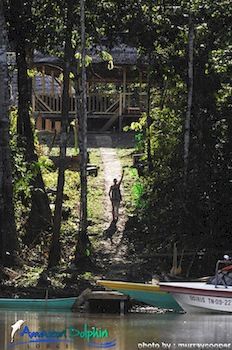 Imagen de los exteriores del Hotel Amazon Dolphin Lodge. Foto 7